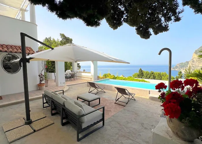 Hibiscus * Капри