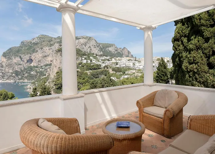 Hibiscus * Капри